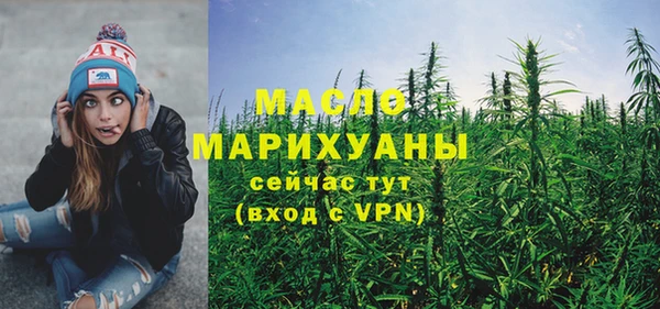 твердый Гусев