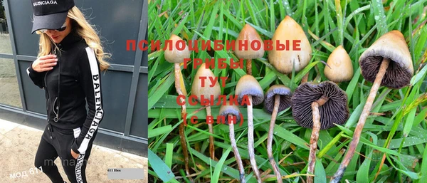 соль курить ск Дмитриев