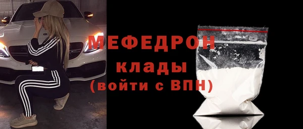твердый Гусев
