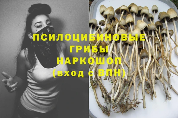 соль курить ск Дмитриев
