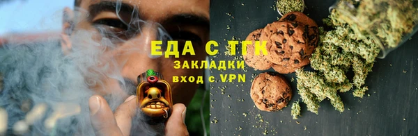 твердый Гусев